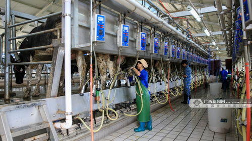 鐘山科技服務 以信息技術咨詢助力富民產業發展